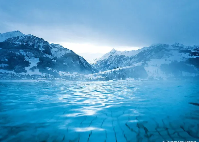 Dr-steiner By Interhome Chalet